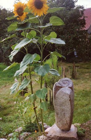 Stilisierte florale Form