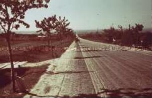 Gepflasterte Landstraße bei Lublin