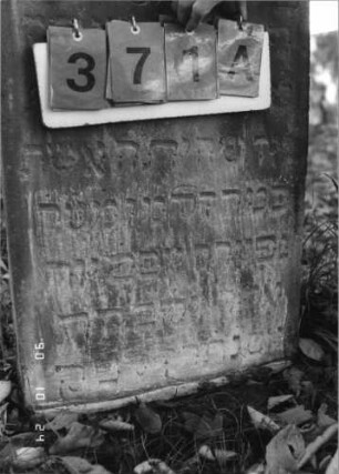 Grabstein 371 (Index: 100115735) Material: Sandstein Zustand: leicht verwittert Maße HxBxT: 88x49x9 cm Beschreibung: Stele mit eingezogenem Segmentbogenabschluß, eingetieftes Schriftfeld Symbolik: Blüte: Grabstein 371A