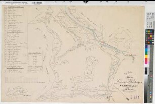 Balve (Balve), Teilung der Balver Kommunalwaldungen und Waldemeien, Bl.3 Reinkarte