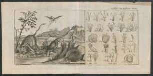 II. Theil. Tafel III.