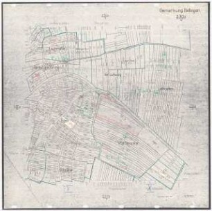 Landschaftsaufbauplanung Bellingen: Gemarkung Bellingen 1:1000