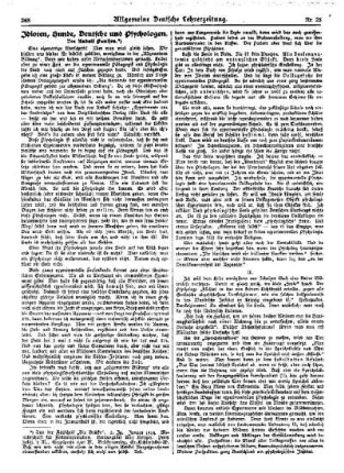 Idioten, Hunde, Deutsche und Psychologen
