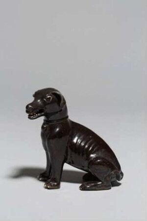 Hund