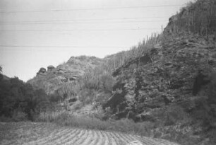 Fahrt nach Puerto Barrios (Lateinamerika-Aufenthalte 1934/1942 – 5. Mexiko 1937)