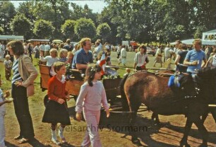 Kindervogelschießen im Bürgerpark