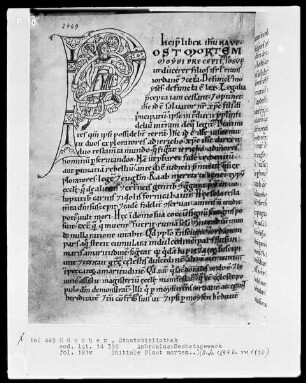 Ambrosius, Hexaemeron — Initiale P (ost mortem) mit einem Rankenkletterer, Folio 181verso