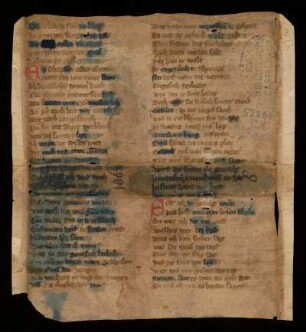Johann von Würzburg: Wilhelm von Österreich (Fragment k/[b])