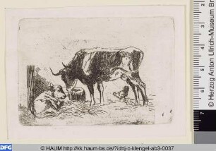 Kuh mit Kalb