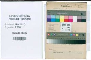 Entnazifizierung Herta Brandt , geb. 30.04.1911 (Rechtsanwaeltin)