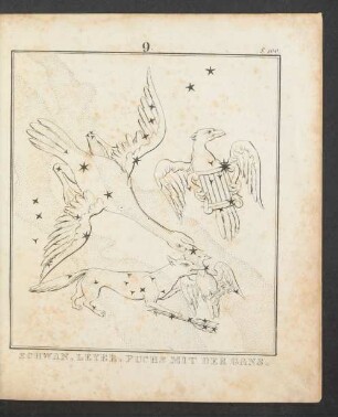 Tafel 9.: Schwan. Leyer. Fuchs mit der Gans.