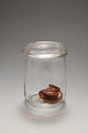 Weck Rundrand-Glas 100, 1 l. 13A (Einmachglas mit Deckel und 2 Gummiringen)