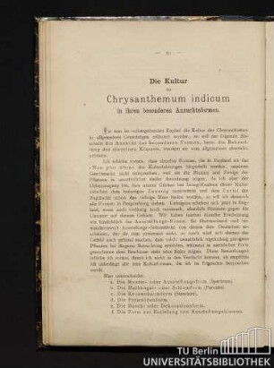 Die Kultur der Chrysanthemum indicum in ihren besonderen Anzuchtsformen.