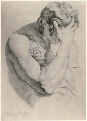 Pettrich, Ferdinand : Akademie-Schüler-Studie nach Matthaei (Figur aus dem Matthaeischen Gemälde "Das Abendmahl" in der Johanniskirche in Plauen i, Vogtland), Kreide, 26 x 19,3 cm