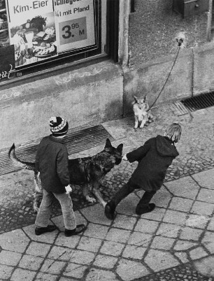 Kinder beim Ausführen eines Schäferhundes (Blick aus der Wohnung des Fotografen)