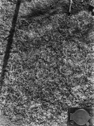 Granitmaserung : Granitbruch läßt Blick auf die Optik des "Flossenbürger Granits" zu.