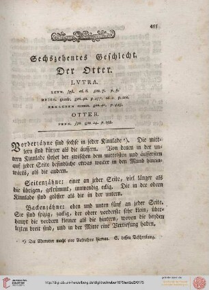 Sechzehentes Geschlecht: Der Otter