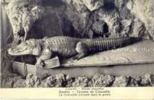 Postkarte der Gaststätte "Taverne du Crocodile" in Genf