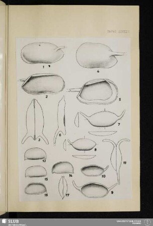 Tafel XXVIII