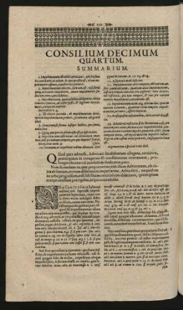 Consilium Decimum Quartum