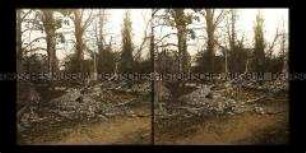 Zerschossene Mauer und Park in Langemark