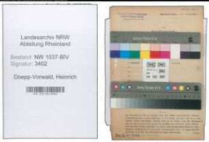 Entnazifizierung Heinrich Doepp-Vorwald , geb. 25.04.1902 ()