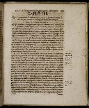 Caput III. Quo tertium fundamentum pro parte negativa, idque peculiare, ex Protestantium & Reformatorum promisso petitum, expenditur.