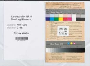 Entnazifizierung Walter Simon, geb. 21.05.1904 (Buchhalter)