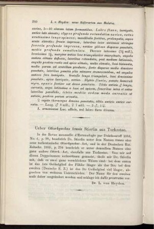 Ueber Otiorhyuchus tennis Stierling aus Turkestan