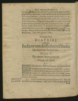 Caput I. De Natura huius articuli.