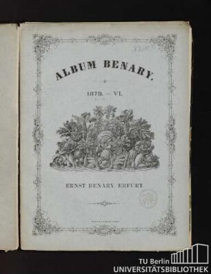 Album Benary. 1879. - VI. 21 - 24. Ernst Benary, Erfurt.