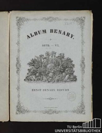 Album Benary. 1879. - VI. 21 - 24. Ernst Benary, Erfurt.
