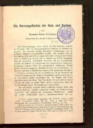Die Nervengeflechte der Haie und Rochen