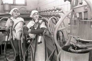 Melker