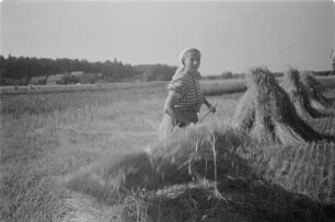 Erntefeld mit Kornpuppen. Ernte. Landwirtin in sorbischer katholischer Alltagstracht. : Žně žita. Snopy na žitnišću. Ratarka w serbskej katolskej wšědnej drasće.