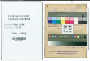 Entnazifizierung Ludwig Euler , geb. 21.02.1897 (Kaufmaennischer Angestellter)