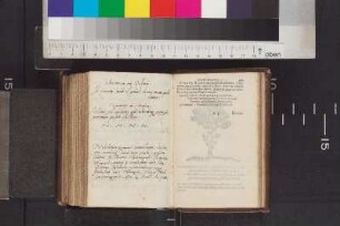 Neu, Marcus; Blatt 437