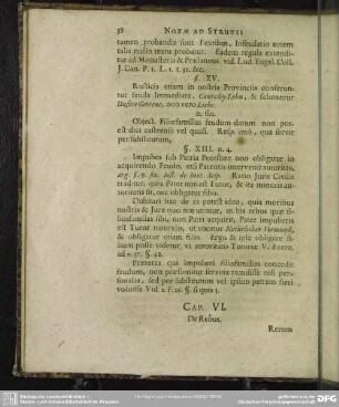Cap. VI. De Rebus