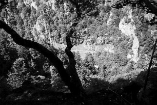 Blick vom Hirschsprung ins Höllental