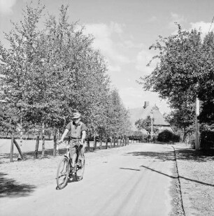 Dorfstraße mit Fahrradfahrer: links Baumreihe: hinten rechts Bauernhaus und Bäume