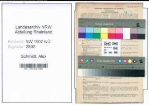 Entnazifizierung Alex Schmidt , geb. 06.07.1902 (Schleifer)