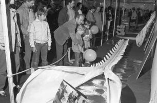 Einkaufs- und Informationsschau "offerta 84" in den Ausstellungshallen am Karlsruher Festplatz