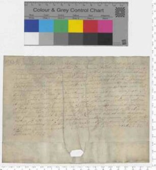 Bürgermeister und Rat der Stadt Lüneburg bestätigen einen Hausverkauf für die Erben G. D. von Dassels an Hartwig von Dassel.