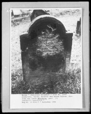 Grabstein von Sarle, Tochter des Aaron Talsum, Ehefrau des Leser Mühlheim