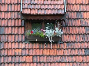 Aschersleben - Dachgaube mit Blumenfenster im Zentrum : Dachgaube mit Blumenfenster. Aufgenommen am 30. Mai 2004 in Aschersleben