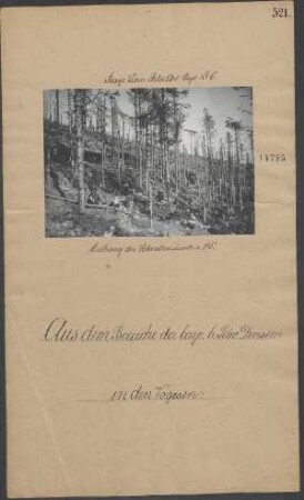 Osthang des Schratzmännle v. SW.