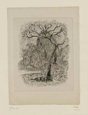Baumlandschaft mit Hund, aus: Octave Mirbeau, "Dingo", Paris 1924