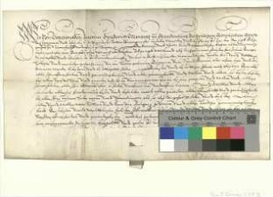 Kurfürst Joachim Friedrich, Markgraf von Brandenburg, bestätigt der Stadt Bernau ihre Rechte und Freiheiten.