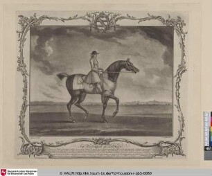 The Portraiture of Sedbury