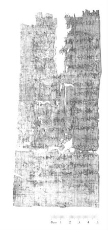 Inv. 21631, Köln, Papyrussammlung
